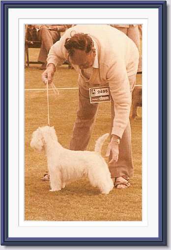 P.Show-me-How at Paignton 1978