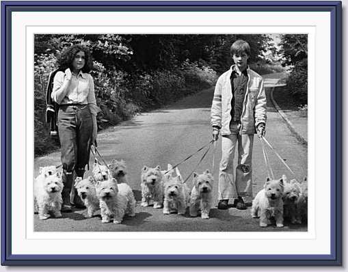returning from their daily walk